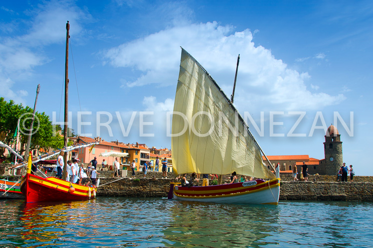 4515_5786-_2014-COLLIOURE_CATALANE-4