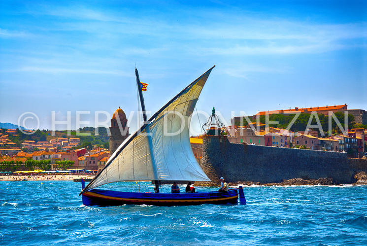4884_66318_COLLIOURE-CATALANE-4