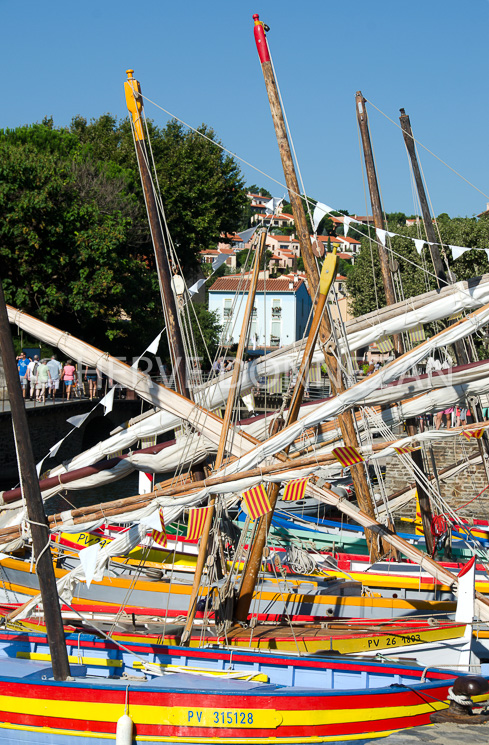 5051_7565COLLIOURE-CATALANE-SOLA