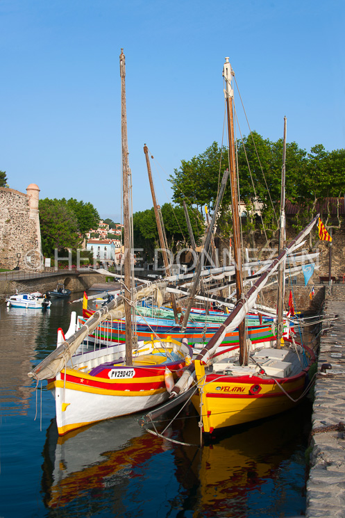 5470_0096_COLLIOURE SOLA