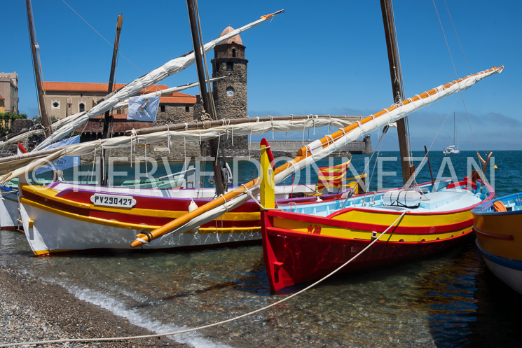 6010-0158830-COLLIOURE-CATALANE-FETE-ANCHOIS-OR