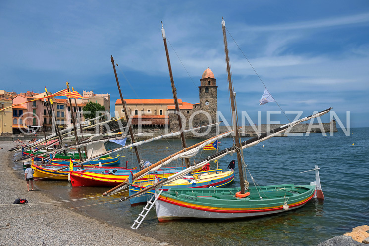 6088-0157435-COLLIOURE FETE ANCHOIS CATALANES-4