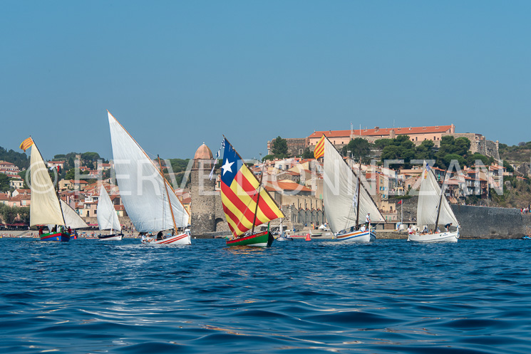6593-0159185-COLLIOURE-CATALANES-4