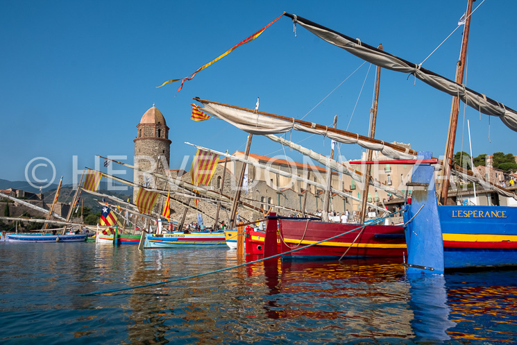 6595-0159069- COLLIOURE-CATALANES-4