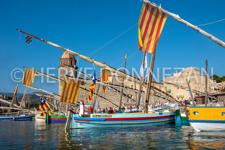 6596-0159029-COLLIOURE-CATALANES-4