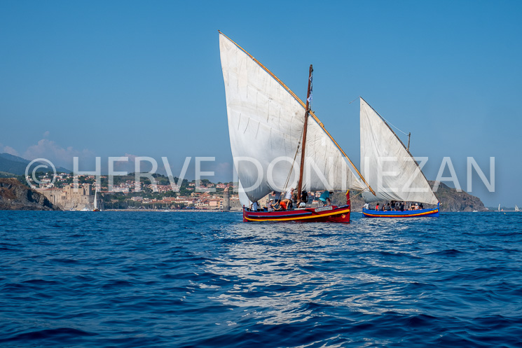 6708-0158905-COLLIOURE-CATALANES-MARINE