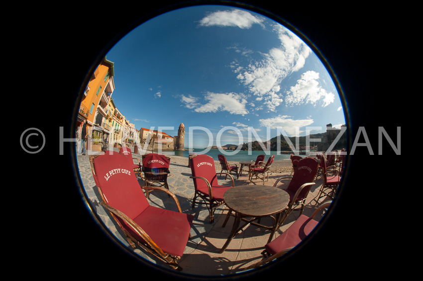3439_COLLIOURE FISH_OR