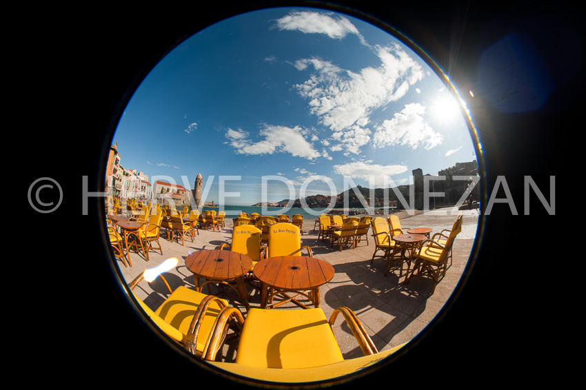 3440 FISH_COLLIOURE