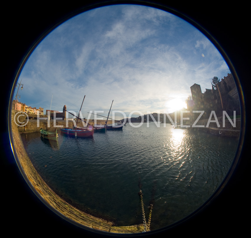 3504_89177_COLLIOURE_FISH EYE PORT_OR