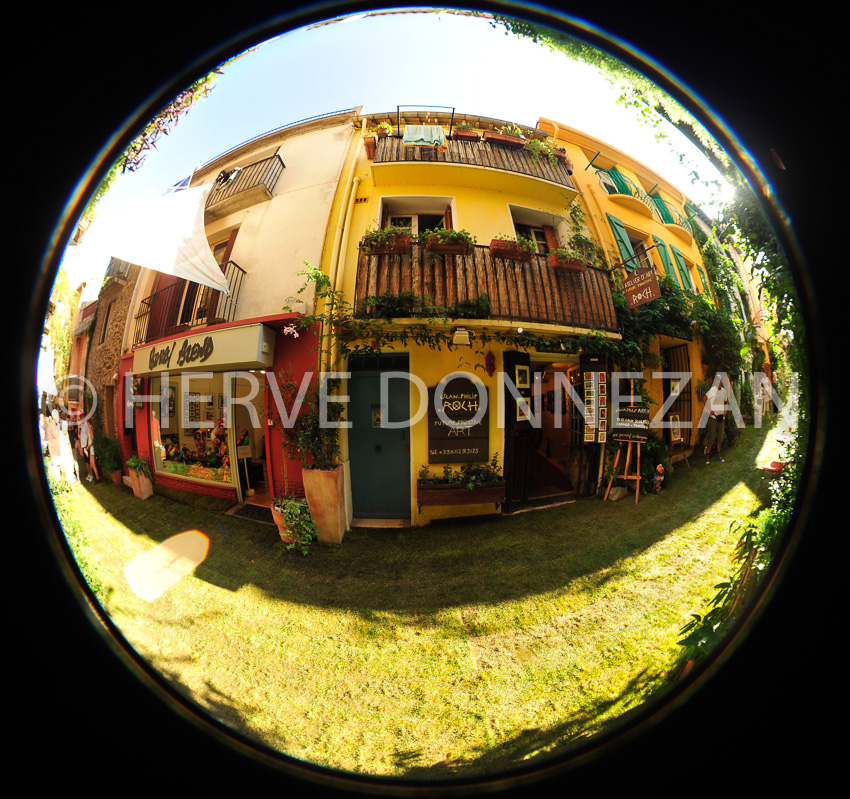 3849_1253_COLLIOURE_FRATERNITE_OR