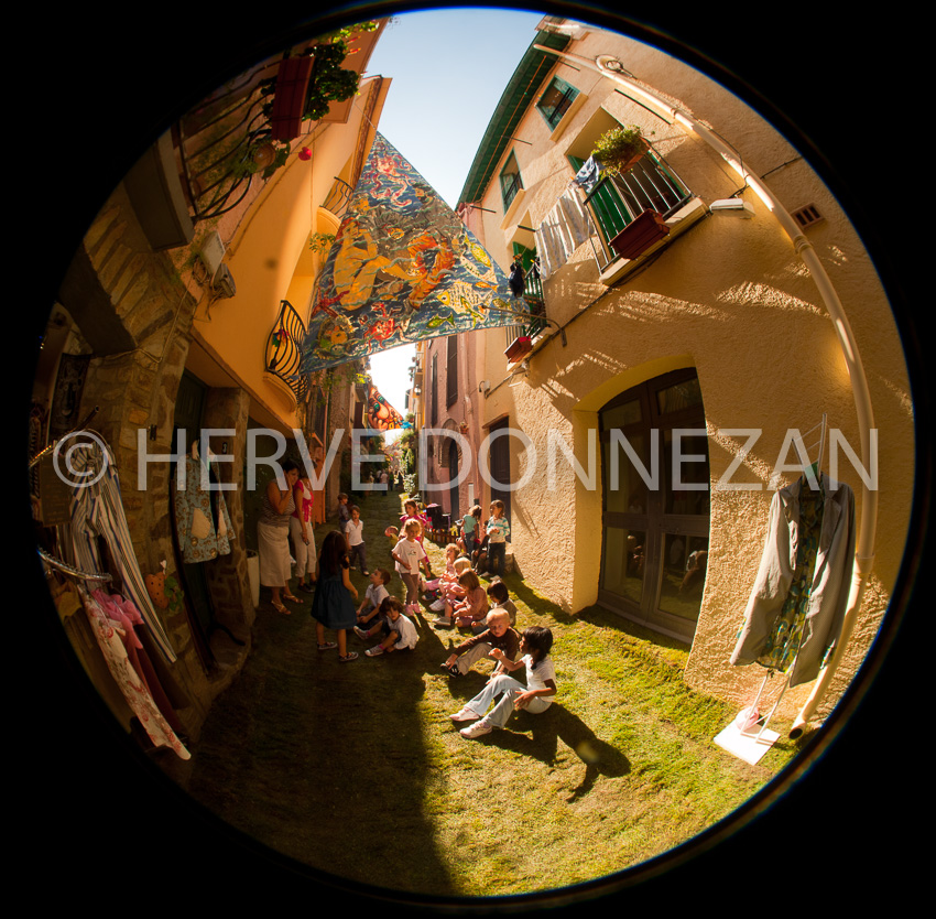 3850_1242_COLLIOURE_FRATERNITE_OR