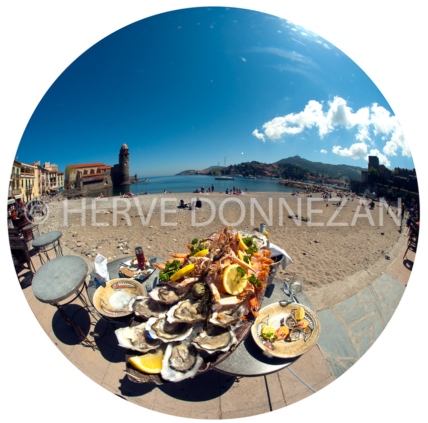4193-7568_COLLIOURE_SAINT VINCENT_OR