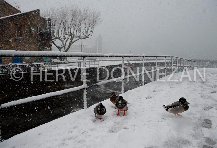 3075_3166_NEIGE_COLLIOURE