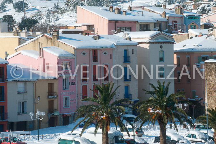 3118_3664_COLLIOURE_NEIGE