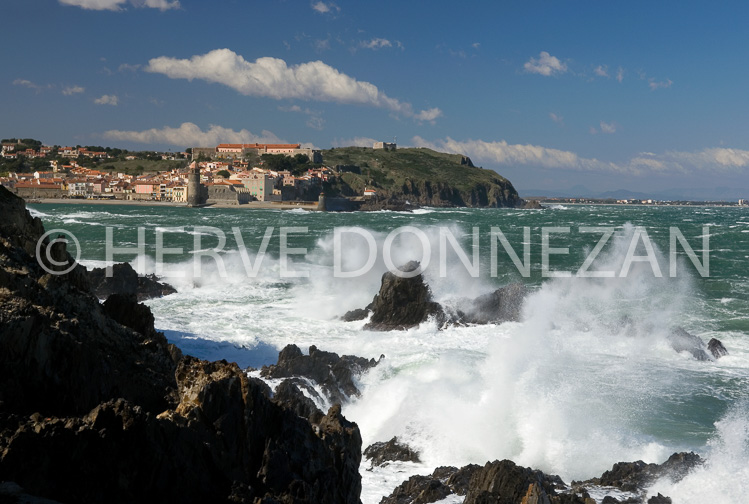 2340_63100_COLLIOURE TEMPETE