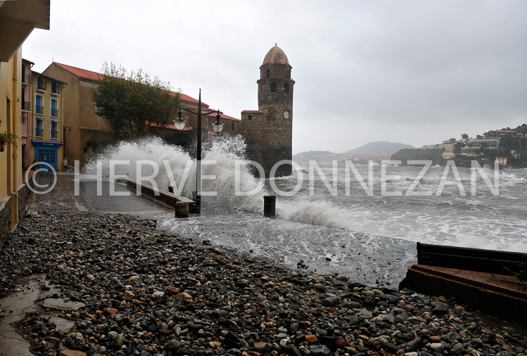 3355_2705_COLLIOURE_TEMPETE_