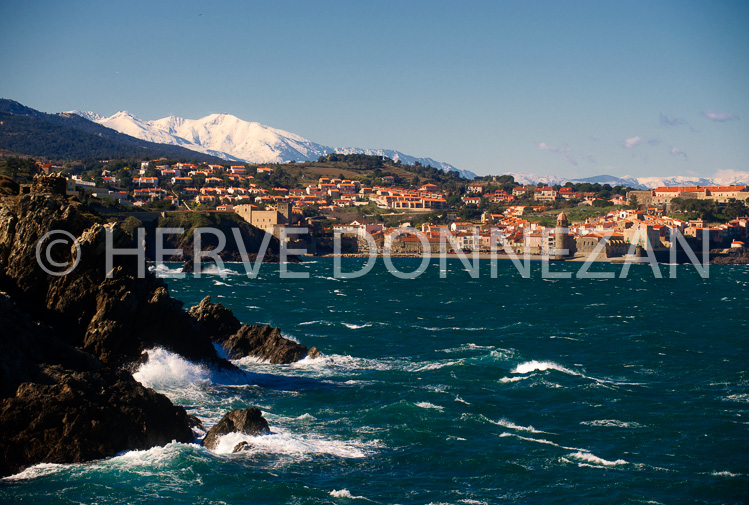 3446_94368_COLLIOURE_CANIGOU_