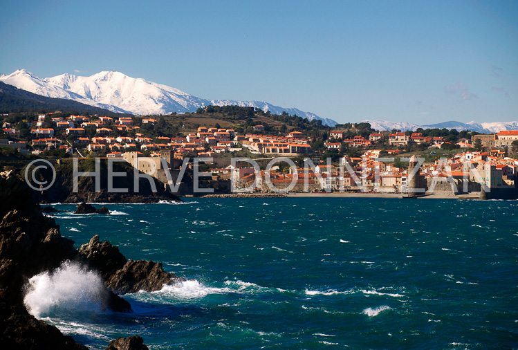 3447_94377_COLLIOURE_CANIGOU_