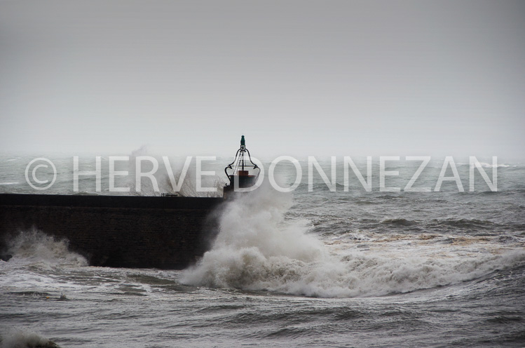 3460_0044_COLLIOURE_TEMPETE