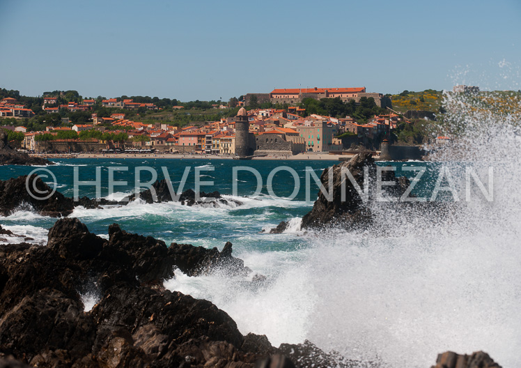 4051_8290_COLLIOURE_TRAMONTA