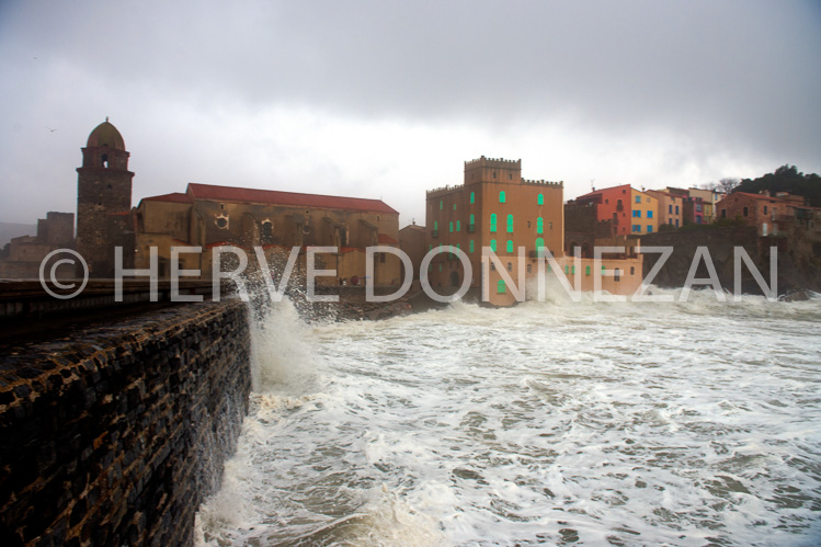 4203_7398_COLLIOURE_TEMPETE_