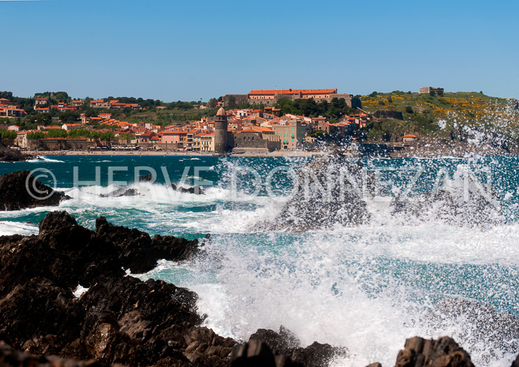 4264_8295_COLLIOURE_TRAM_