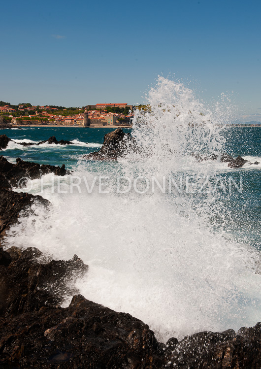 4437_8271_COLLIOURE VAGUES_