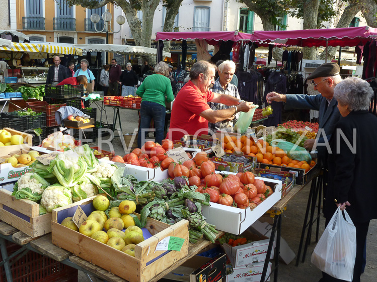 3704_0414_COLLIOURE_MARCHE