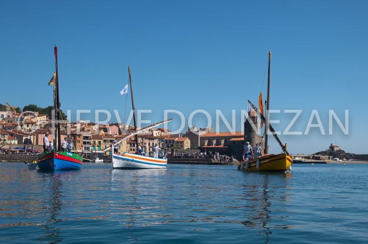 ANCHOIS-6578-0158747-COLLIOURE-CATALANES-ANCHOIS-PORT-OR