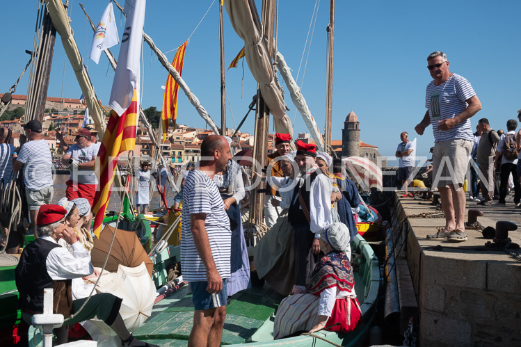 ANCHOIS-6579-0158706-COLLIOURE-FETE-ANCHOIS-OR