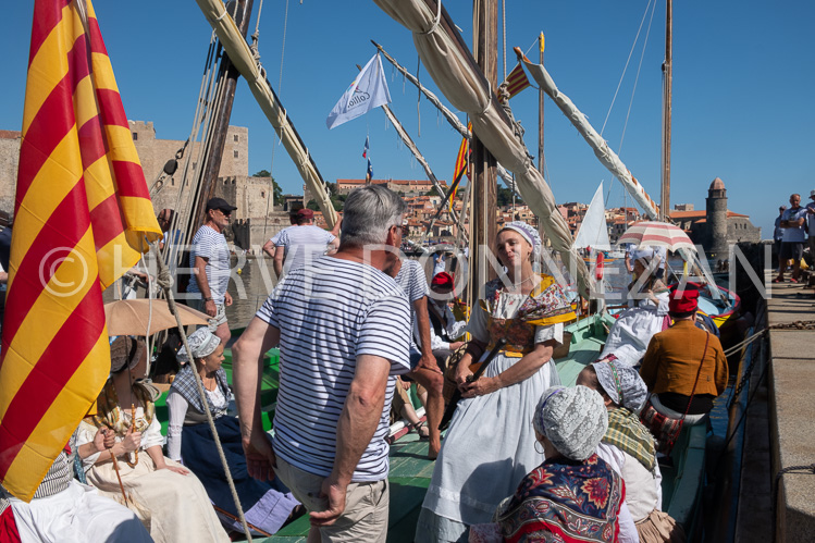 ANCHOIS-6584-0158695-COLLIOURE-FETE-ANCHOIS-OR