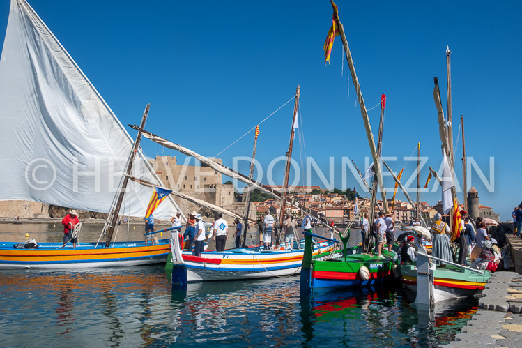 ANCHOIS-6585-0158672-COLLIOURE-CATALANE-FETE-ANCHOIS-OR