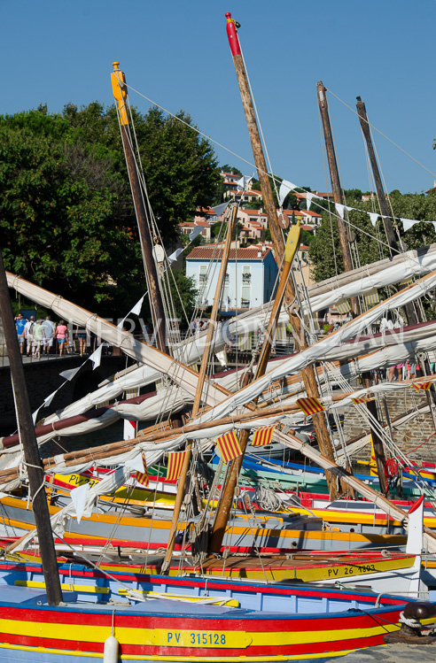 CAFE SOLA-5051_7565_collioure_catalane_sola_C-4