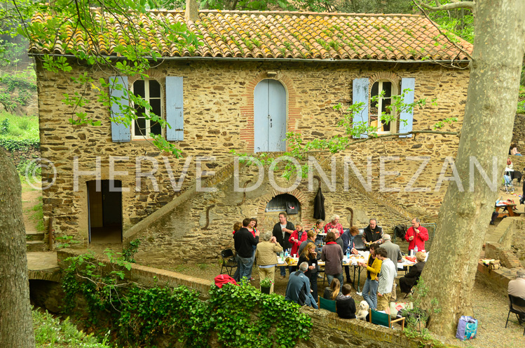 CONSOLATION-_DSC5696