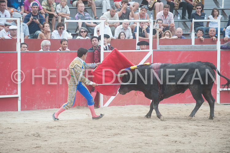 CORRIDA-0091184