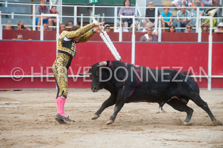 CORRIDA-2975_91008_CORRIDA_OR