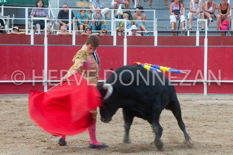 CORRIDA-2976_91050_CORRIDA_OR