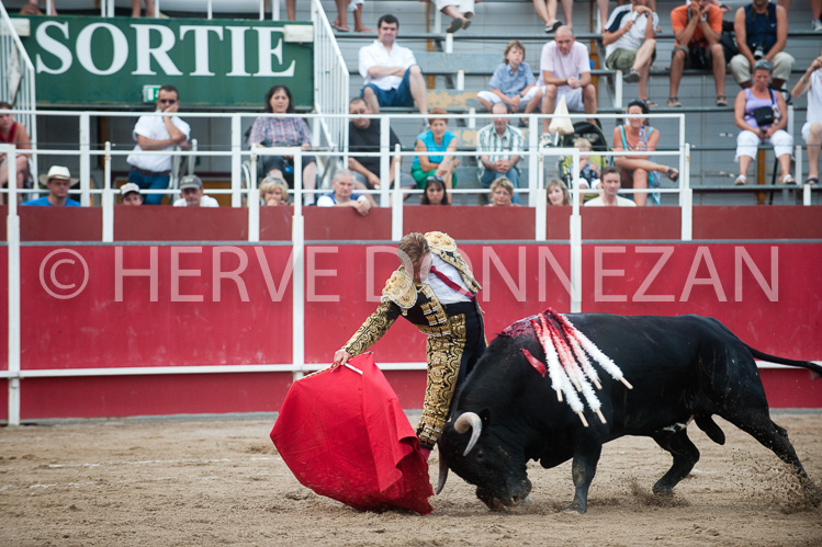 CORRIDA-3234_91118_CORRIDA_OR