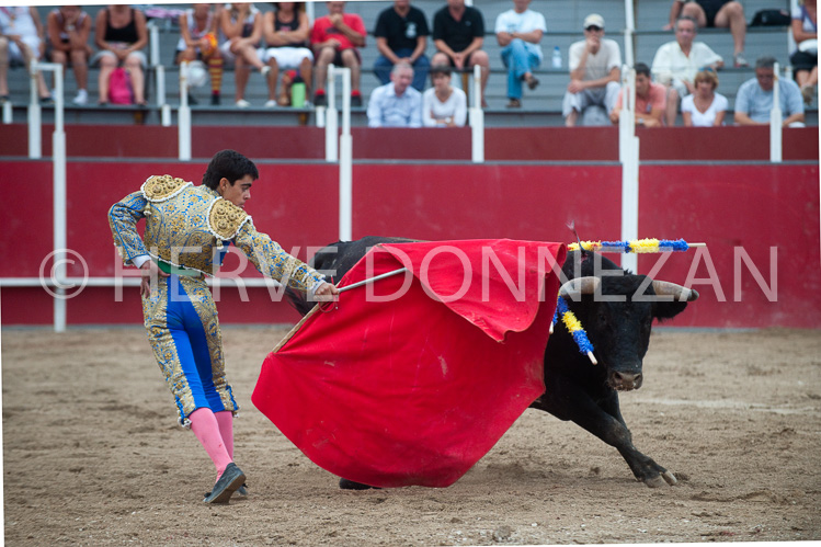 CORRIDA-3238_91169_CORRIDA_OR