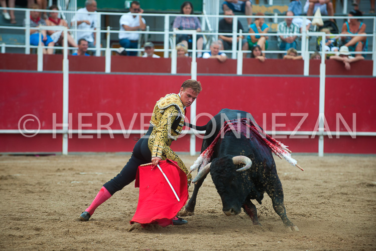 CORRIDA-3473_91133_CORRIDA_OR