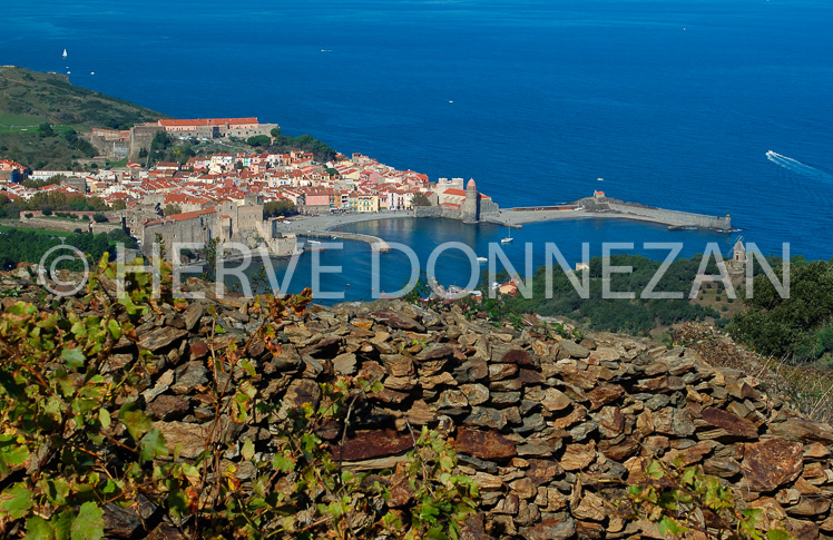 1799-35323-COLLIOURE VIGNES MURET