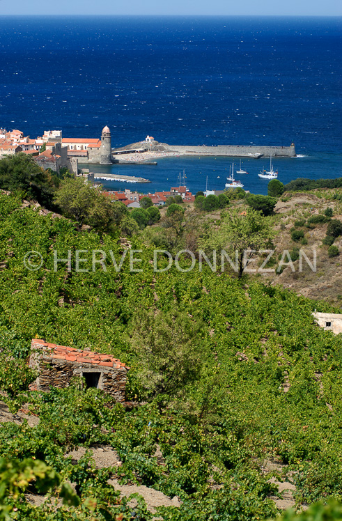 2175-52296-COLLIOURE_CASOT