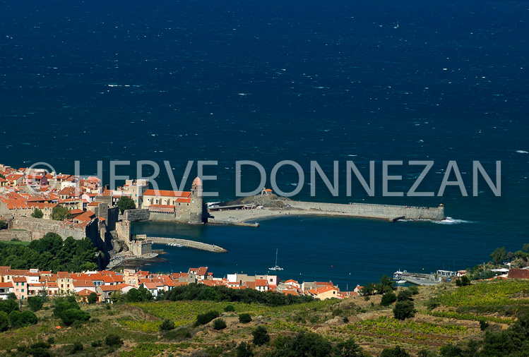 2369_COLLIOURE_PANO_VIGNE