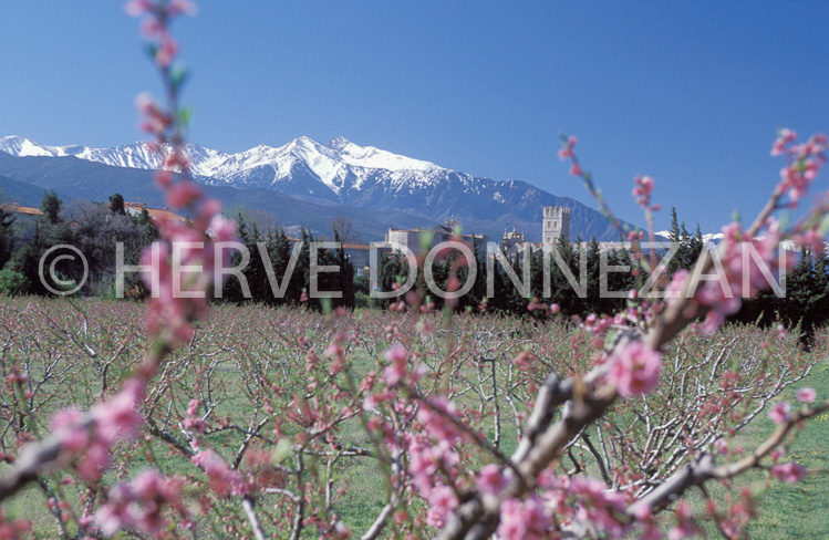 0281 ILLE PECHERS CANIGOU