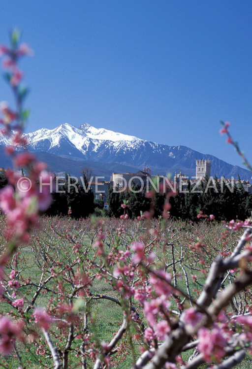 0282 ILLE PECHERS CANIGOU