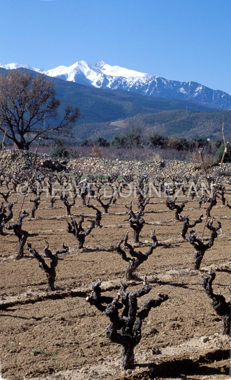 0377 CEP CANIGOU 