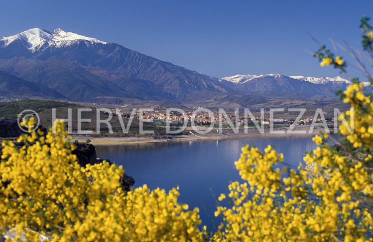 1231_20107_VINCA CANIGOU