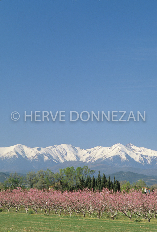 2411_44087_CANIGOU_PECHERS