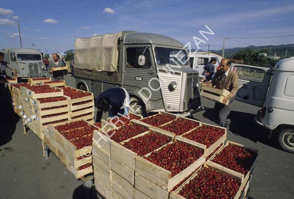 2396_61374_CERISES CERET_A4