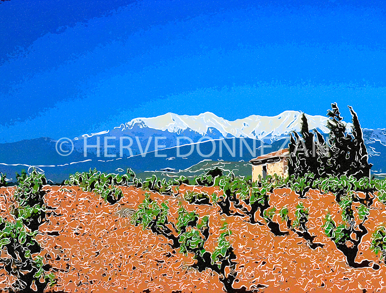 FRANCE PYRENEES ORIENTALES ROUSSILLON ASPRES CANIGOU